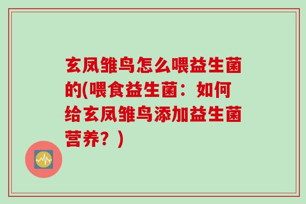 玄凤雏鸟怎么喂益生菌的(喂食益生菌：如何给玄凤雏鸟添加益生菌营养？)