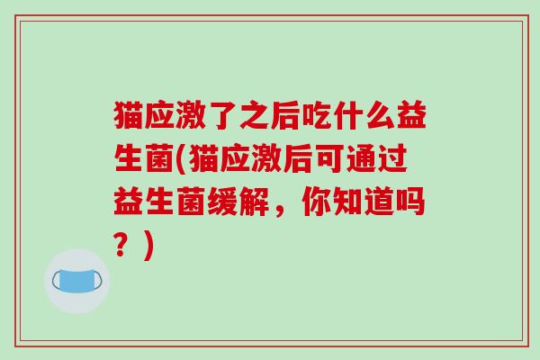 猫应激了之后吃什么益生菌(猫应激后可通过益生菌缓解，你知道吗？)