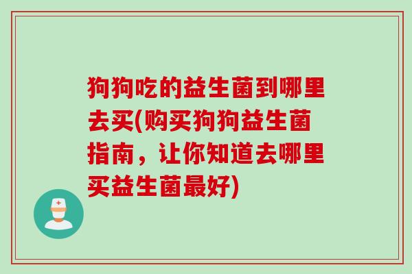狗狗吃的益生菌到哪里去买(购买狗狗益生菌指南，让你知道去哪里买益生菌最好)