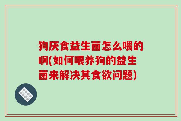 狗厌食益生菌怎么喂的啊(如何喂养狗的益生菌来解决其食欲问题)