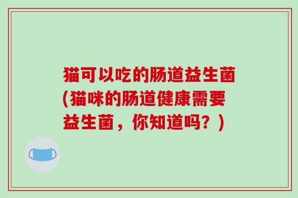猫可以吃的肠道益生菌(猫咪的肠道健康需要益生菌，你知道吗？)