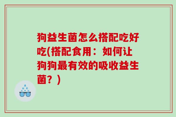 狗益生菌怎么搭配吃好吃(搭配食用：如何让狗狗最有效的吸收益生菌？)