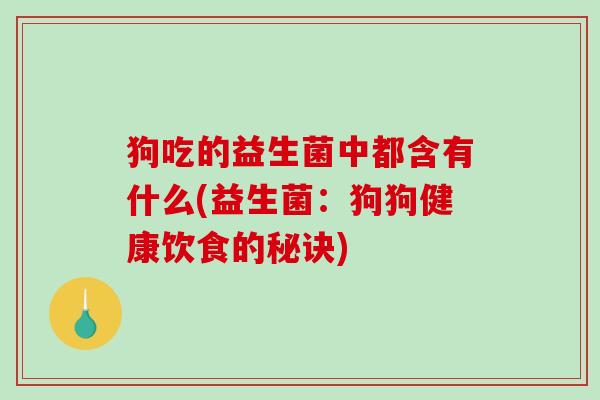 狗吃的益生菌中都含有什么(益生菌：狗狗健康饮食的秘诀)