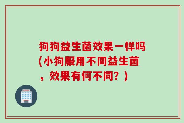 狗狗益生菌效果一样吗(小狗服用不同益生菌，效果有何不同？)