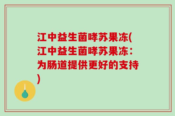 江中益生菌哮苏果冻(江中益生菌哮苏果冻：为肠道提供更好的支持)