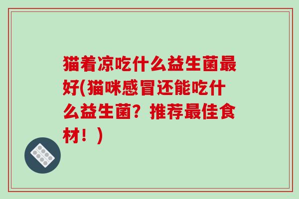 猫着凉吃什么益生菌最好(猫咪感冒还能吃什么益生菌？推荐最佳食材！)