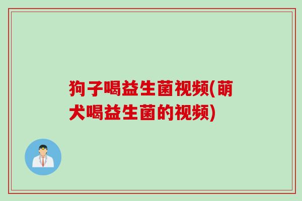 狗子喝益生菌视频(萌犬喝益生菌的视频) 狗子喝益生菌视频(萌犬喝益生菌的视频)