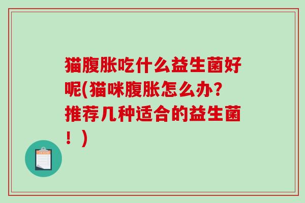 猫腹胀吃什么益生菌好呢(猫咪腹胀怎么办？推荐几种适合的益生菌！)