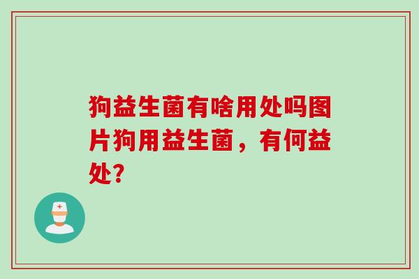 狗益生菌有啥用处吗图片狗用益生菌，有何益处？