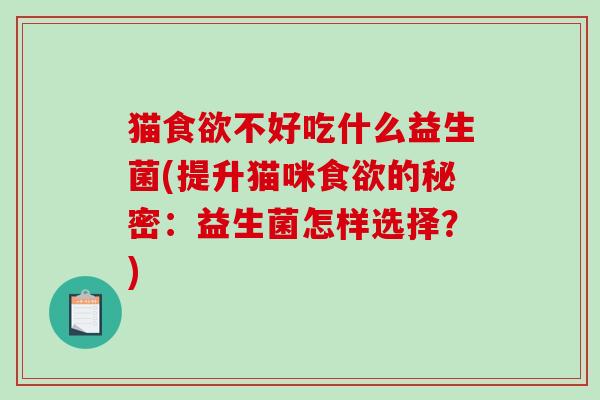 猫食欲不好吃什么益生菌(提升猫咪食欲的秘密：益生菌怎样选择？)