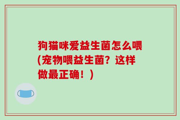 狗猫咪爱益生菌怎么喂(宠物喂益生菌？这样做最正确！)