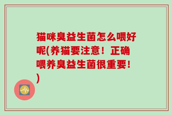 猫咪臭益生菌怎么喂好呢(养猫要注意！正确喂养臭益生菌很重要！)