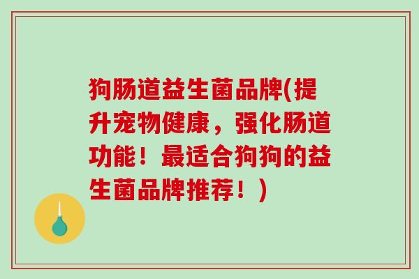狗肠道益生菌品牌(提升宠物健康，强化肠道功能！最适合狗狗的益生菌品牌推荐！)