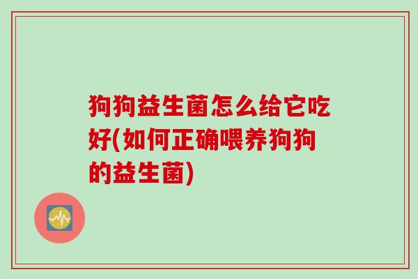 狗狗益生菌怎么给它吃好(如何正确喂养狗狗的益生菌) 狗狗益生菌怎么给它吃好(如何正确喂养狗狗的益生菌)