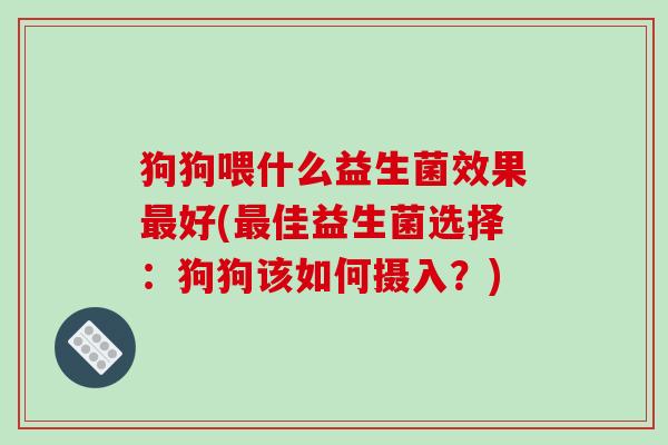 狗狗喂什么益生菌效果好(佳益生菌选择:狗狗该如何摄入?) 狗狗喂什么益生菌效果好(佳益生菌选择:狗狗该如何摄入?)