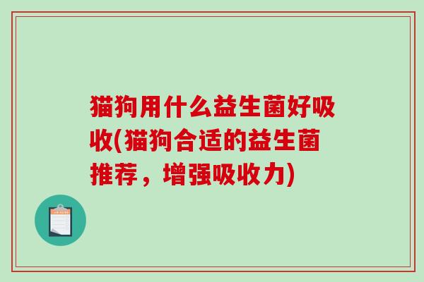 猫狗用什么益生菌好吸收(猫狗合适的益生菌推荐，增强吸收力)