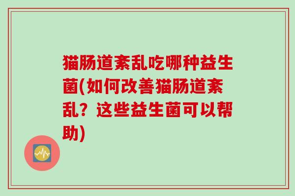 猫肠道紊乱吃哪种益生菌(如何改善猫肠道紊乱？这些益生菌可以帮助)