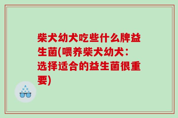 柴犬幼犬吃些什么牌益生菌(喂养柴犬幼犬：选择适合的益生菌很重要)