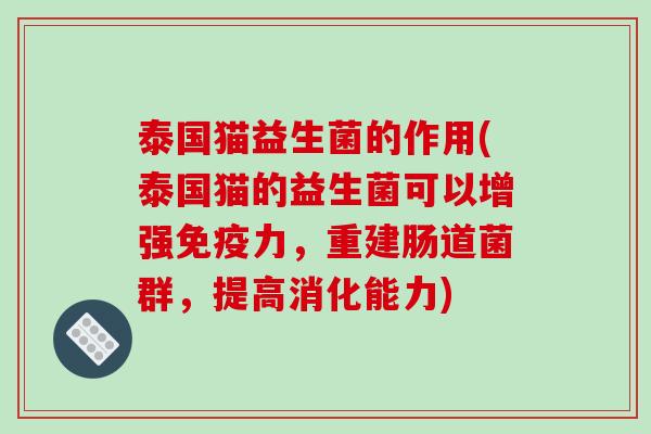 泰国猫益生菌的作用(泰国猫的益生菌可以增强免疫力，重建肠道菌群，提高消化能力)
