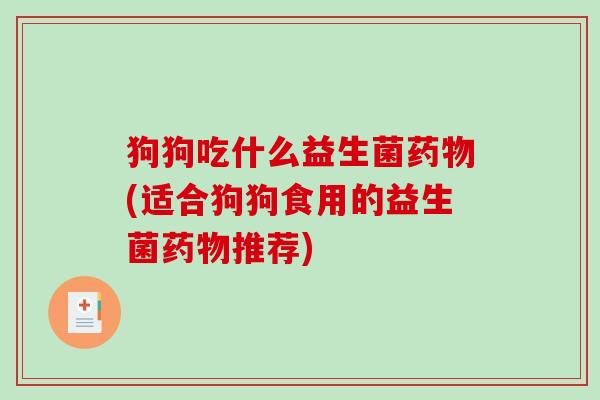 狗狗吃什么益生菌(适合狗狗食用的益生菌推荐)