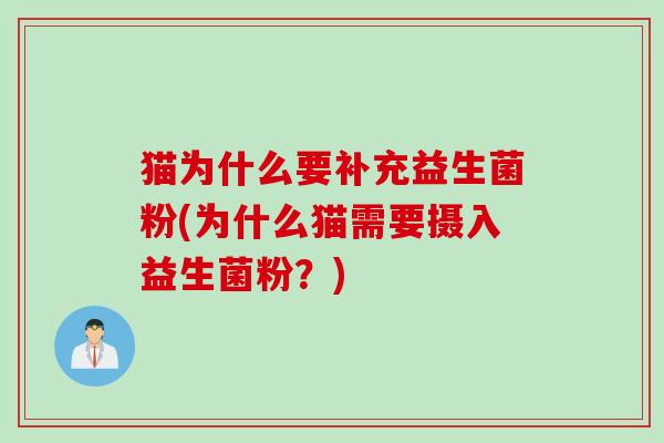 猫为什么要补充益生菌粉(为什么猫需要摄入益生菌粉？)