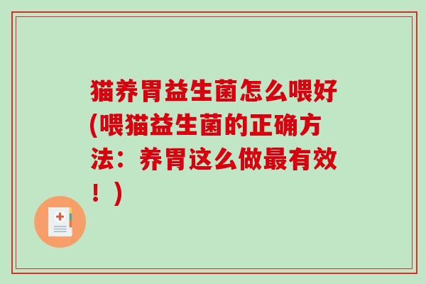 猫养胃益生菌怎么喂好(喂猫益生菌的正确方法：养胃这么做最有效！)