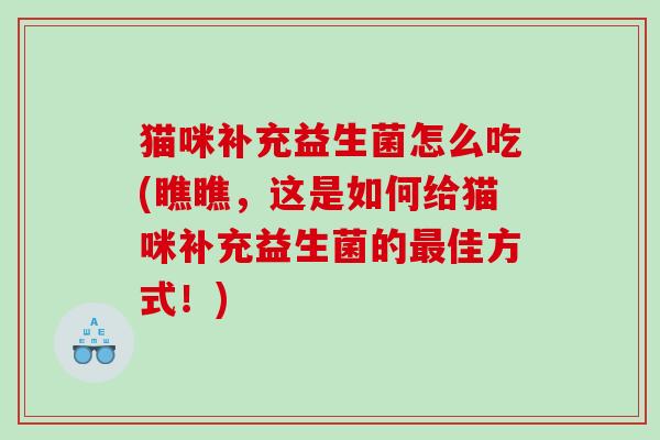 猫咪补充益生菌怎么吃(瞧瞧,这是如何给猫咪补充益生菌的佳方式!) 猫咪补充益生菌怎么吃(瞧瞧,这是如何给猫咪补充益生菌的佳方式!)