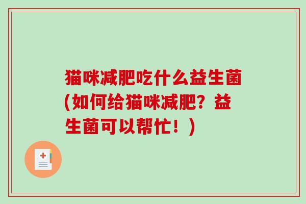 猫咪减肥吃什么益生菌(如何给猫咪减肥？益生菌可以帮忙！)