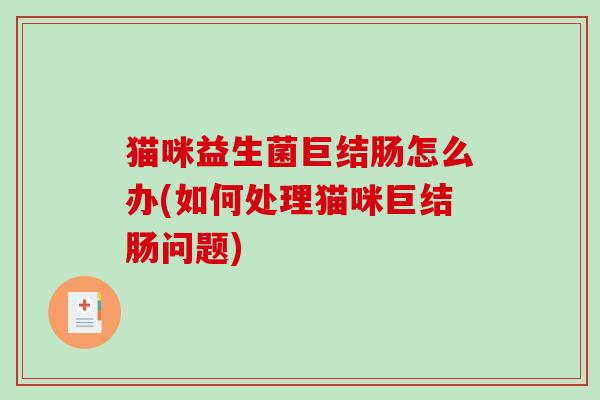 猫咪益生菌巨结肠怎么办(如何处理猫咪巨结肠问题)