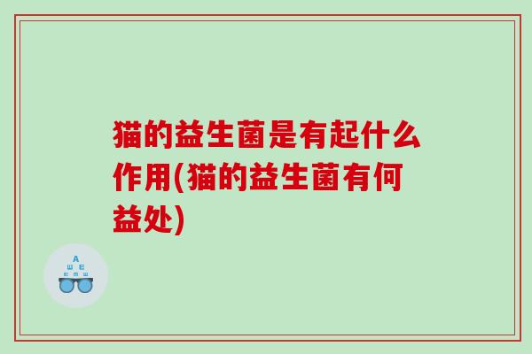 猫的益生菌是有起什么作用(猫的益生菌有何益处)