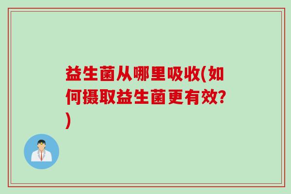 益生菌从哪里吸收(如何摄取益生菌更有效？)