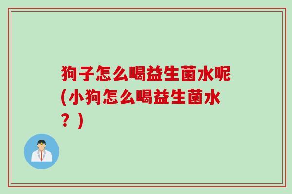 狗子怎么喝益生菌水呢(小狗怎么喝益生菌水？)
