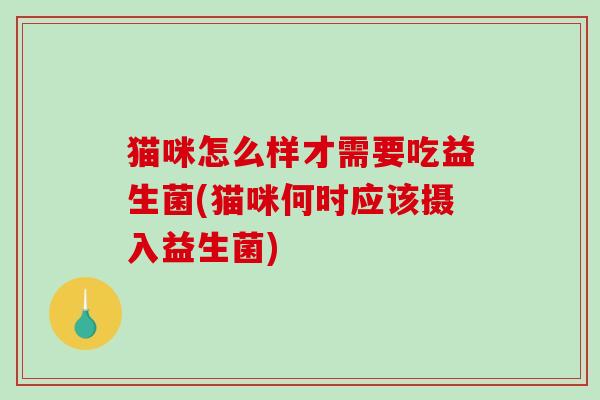 猫咪怎么样才需要吃益生菌(猫咪何时应该摄入益生菌) 猫咪怎么样才需要吃益生菌(猫咪何时应该摄入益生菌)
