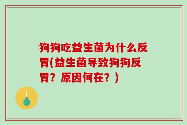 狗狗吃益生菌为什么反胃(益生菌导致狗狗反胃？原因何在？)