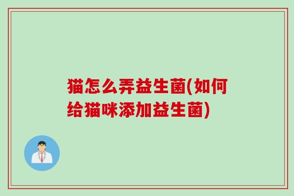 猫怎么弄益生菌(如何给猫咪添加益生菌)