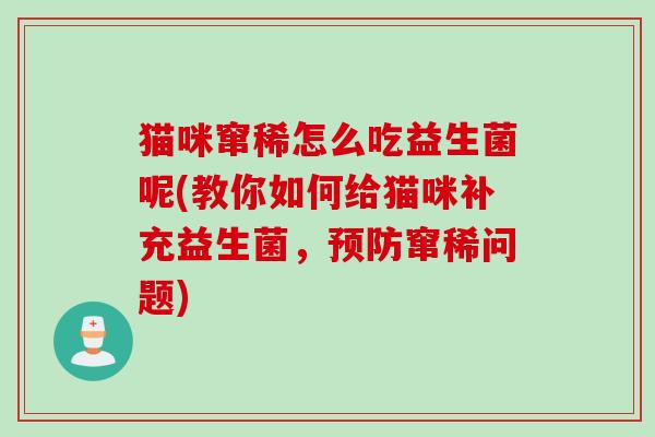 猫咪窜稀怎么吃益生菌呢(教你如何给猫咪补充益生菌，预防窜稀问题)