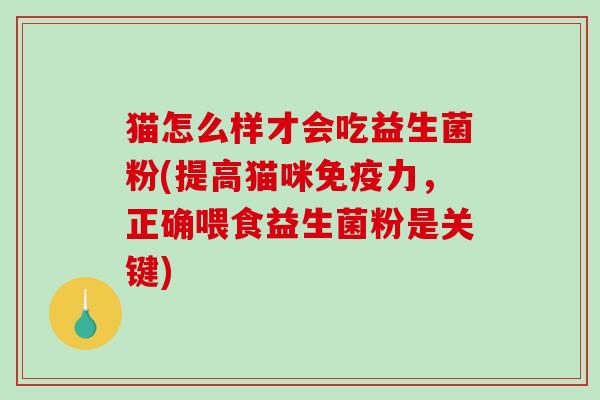 猫怎么样才会吃益生菌粉(提高猫咪力,正确喂食益生菌粉是关键) 猫怎么样才会吃益生菌粉(提高猫咪力,正确喂食益生菌粉是关键)