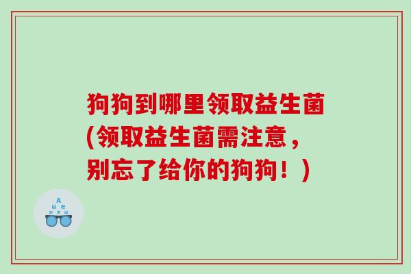 狗狗到哪里领取益生菌(领取益生菌需注意，别忘了给你的狗狗！)