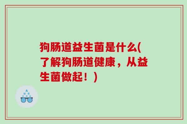 狗肠道益生菌是什么(了解狗肠道健康，从益生菌做起！)