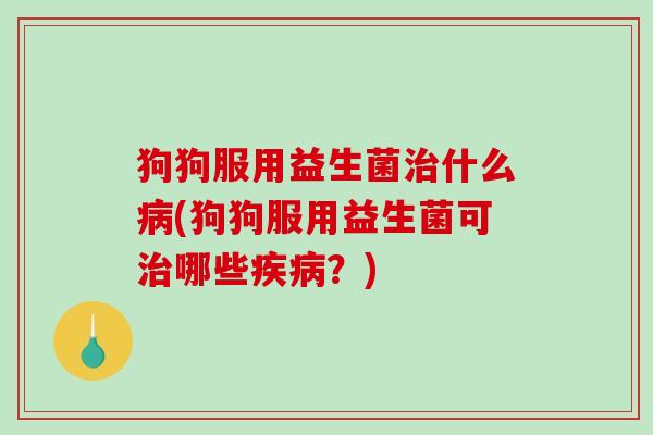 狗狗服用益生菌治什么病(狗狗服用益生菌可治哪些疾病？)