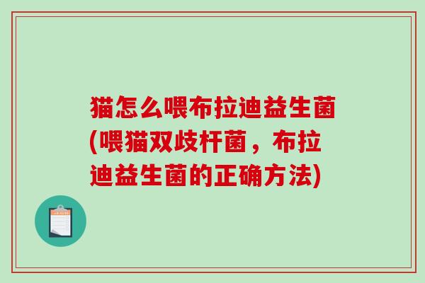 猫怎么喂布拉迪益生菌(喂猫双歧杆菌，布拉迪益生菌的正确方法)