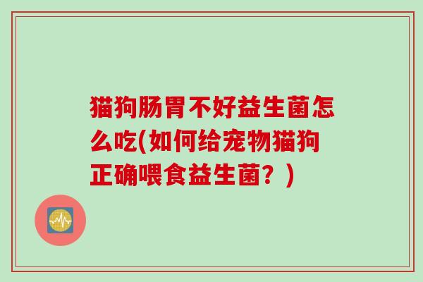 猫狗肠胃不好益生菌怎么吃(如何给宠物猫狗正确喂食益生菌？)