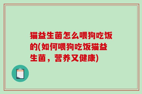 猫益生菌怎么喂狗吃饭的(如何喂狗吃饭猫益生菌，营养又健康)