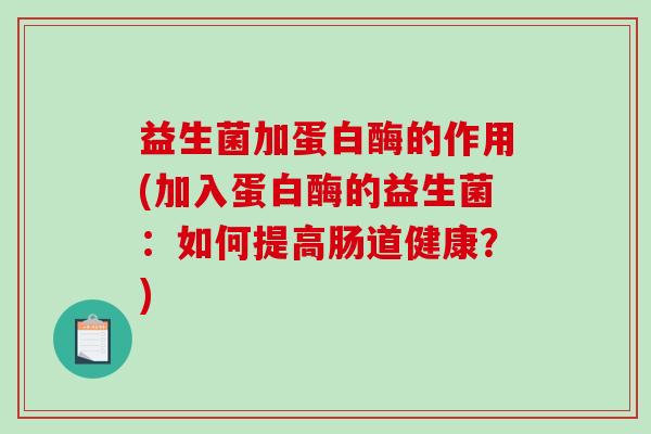 益生菌加蛋白酶的作用(加入蛋白酶的益生菌：如何提高肠道健康？)