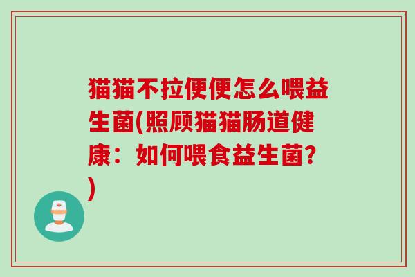 猫猫不拉便便怎么喂益生菌(照顾猫猫肠道健康：如何喂食益生菌？)