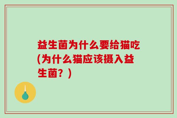 益生菌为什么要给猫吃(为什么猫应该摄入益生菌？)