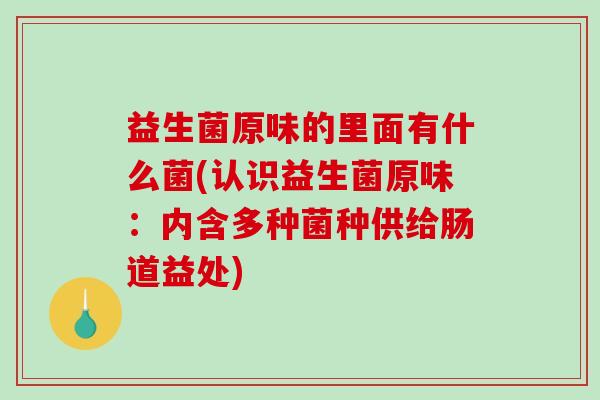 益生菌原味的里面有什么菌(认识益生菌原味：内含多种菌种供给肠道益处)