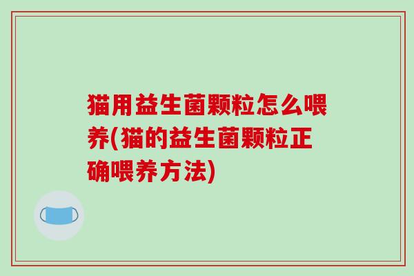 猫用益生菌颗粒怎么喂养(猫的益生菌颗粒正确喂养方法)