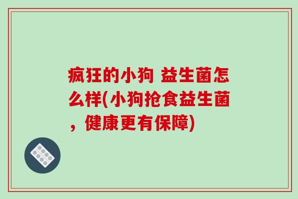 疯狂的小狗 益生菌怎么样(小狗抢食益生菌，健康更有保障)