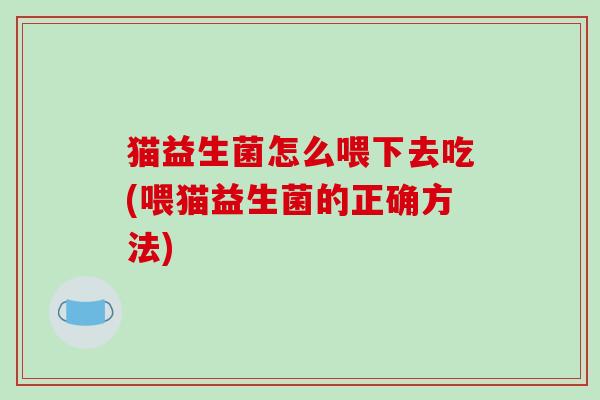 猫益生菌怎么喂下去吃(喂猫益生菌的正确方法)